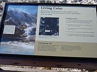 Yellowstone Mammoth Hotsprings (28).JPG